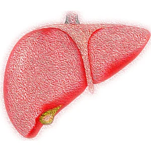 fatty-liver